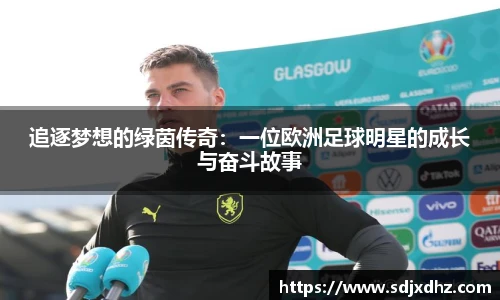 追逐梦想的绿茵传奇：一位欧洲足球明星的成长与奋斗故事